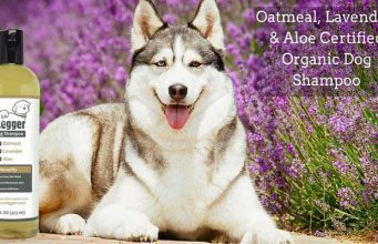 Review: 4-Legger Certified Organic Shampoo for Dogs 4-Legger Organic Shampoo for Dogs Review