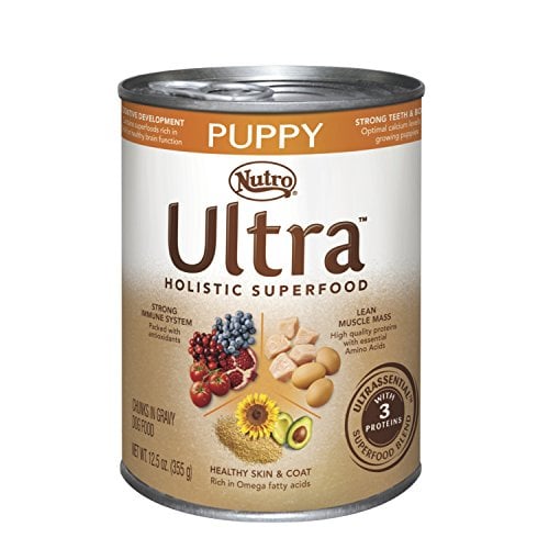 Nutro Ultra Holistic Superfood Wet Dog Food