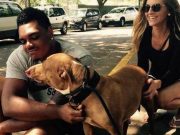 Baltimore Ravens’ Player Sends Message to Dog Lovers Baltimore Ravens' Player Sends Message to Dog Lovers