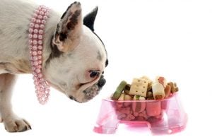 15 Best Healthy Treats for Dogs That Are USDA Organic Certified Best Healthy Treats for Dogs