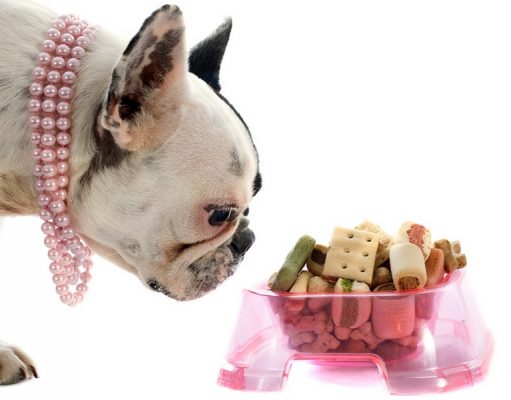 15 Best Healthy Treats for Dogs That Are USDA Organic Certified Best Healthy Treats for Dogs