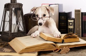 Canine IQ Tests Suggest the Presence of a “g” Factor Canine IQ Tests Suggest the Presence of a g Factor