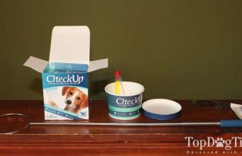 Review: CheckUp Kit At Home Wellness Test for Dogs CheckUp Kit At Home Wellness Test for Dogs Review