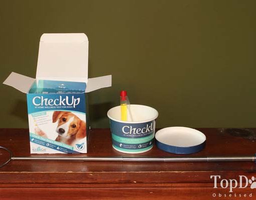 Review: CheckUp Kit At Home Wellness Test for Dogs CheckUp Kit At Home Wellness Test for Dogs Review