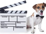 Dog Film Festival is a Howling Good Time! Dog Film Festival is a Howling Good Time!