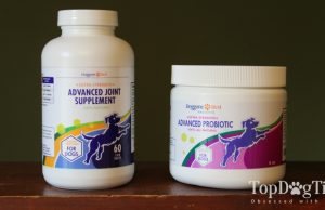 Review: Doggone Best Supplements for Dogs Doggone Best Supplements for Dogs