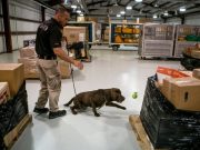 New $12 Million Facility for T.S.A Trained Bomb Sniffing Dogs New $12 Million Facility for T.S.A Trained Bomb Sniffing Dogs
