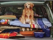 Pendleton Celebrates National Parks With Their Dog Apparel Collection Pendleton Celebrates National Parks With Their Dog Apparel Collection