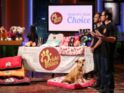 Shark Tank Bit Into This Doggy Deal – Would you? Shark Tank Bit Into This Doggy Deal