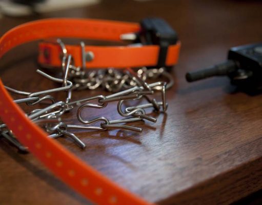 The Lowdown on Training Collars for Dogs: What We Know The Lowdown on Training Collars for Dogs