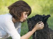 This New Technology Gives Your Dog a Voice This New Technology Gives Your Dog a Voice