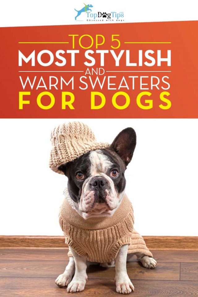 Top 5 Best Dog Sweaters for Warmth & Style in Winter of 2018