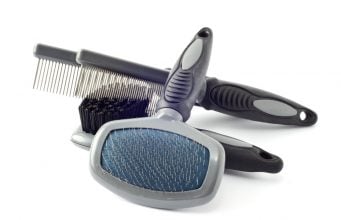 Types of Dog Grooming Brushes and Their Uses Types of Dog Brushes
