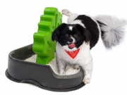 With The Woofaloo, You Won’t Mind If Your Dog Pees Inside With The Woofaloo, You Won't Mind If Your Dog Pees Inside
