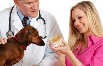 Top 20 Best Wet Dog Food for Puppies & Adult Dogs Brands best wet dog food