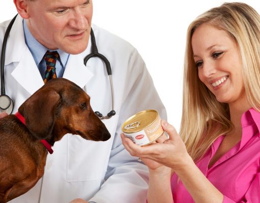 Top 20 Best Wet Dog Food for Puppies & Adult Dogs Brands best wet dog food