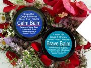 Calm Your Anxious Dog the Easy Way with Calm Balm Calm Your Anxious Dog the Easy Way with Calm Balm