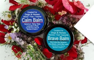 Calm Your Anxious Dog the Easy Way with Calm Balm Calm Your Anxious Dog the Easy Way with Calm Balm