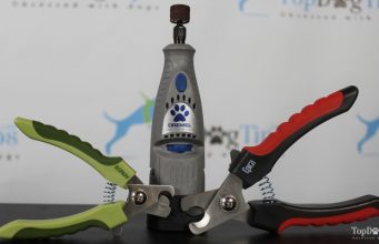 Dremel vs. Safari vs. Epica: Comparing Best Pet Nail Clippers for Dogs Dog Nail Clipper Comparison