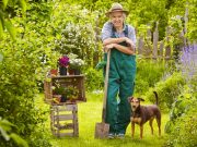 Have You Considered Planting a Dog-Safe Garden? Have You Considered Planting a Dog-Safe Garden