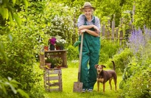 Have You Considered Planting a Dog-Safe Garden? Have You Considered Planting a Dog-Safe Garden