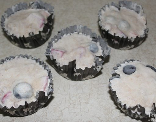 Recipe: Frozen ‘Pupcakes’ Dog Treats With Fruits and Vegetables Homemade Frozen Pupcakes