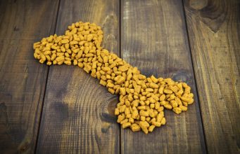 8 Dog Food Photography Tips to Take Great Pics for Your Pet’s Instagram How to Take Good Photos of Dog Food and Treats