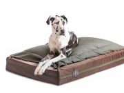 If You Have An Extra-Large Breed You Need A Big Ass Dog Bed From BAD If You Have An Extra-Large Breed You Need A Big Ass Dog Bed From BAD