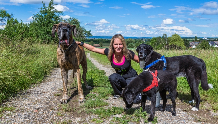 Dog Walking Insurance Why You Need It and How to Find the