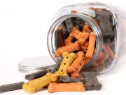 5 Best Dog Treat Jars for Storing Your Pet’s Snacks Best Dog Treat Jar
