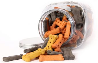 5 Best Dog Treat Jars for Storing Your Pet’s Snacks Best Dog Treat Jar