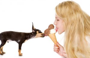 Best Frozen Dog Treats Recipes for Hot Summer Days Best Frozen Dog Treats Recipes