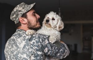 5 Best Videos of Dogs Welcoming Soldiers Home Dogs Welcoming Soldiers Home