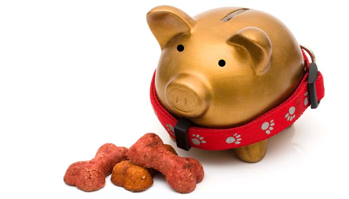 are expensive dog foods really better