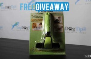 Giveaway: Magic Pro Deshedding Tool for Dogs ($20 Value) Magic Pro Deshedding Tool for Dogs Giveaway