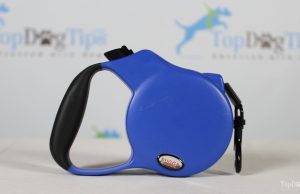 Review: OLLIN Retractable Dog Leash OLLIN Retractable Dog Leash Review