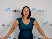 Theory of Pets Podcast Announcement