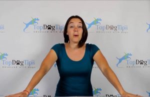 Theory of Pets Podcast Announcement