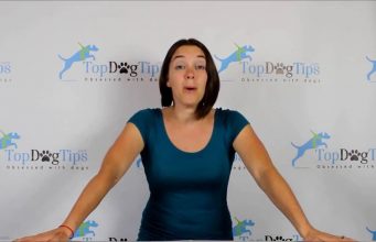 Theory of Pets Podcast Announcement