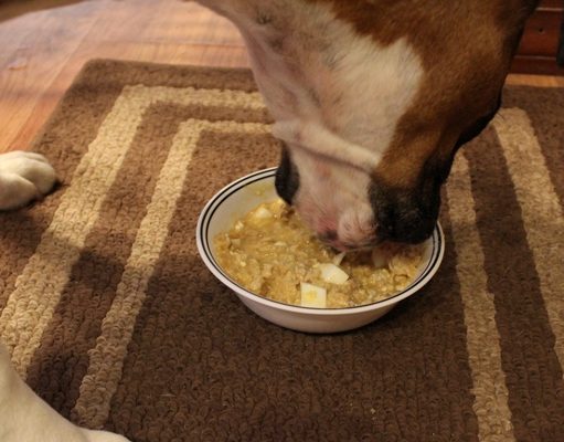 Recipe: Chicken and Rice Homemade Dog Food Chicken and Rice Homemade Dog Food Recipe