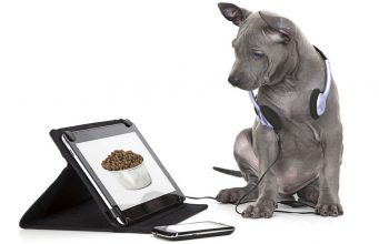 Dog Food Ratings: What You Need to Know About Dog Food Reviews Websites Dog Food Ratings