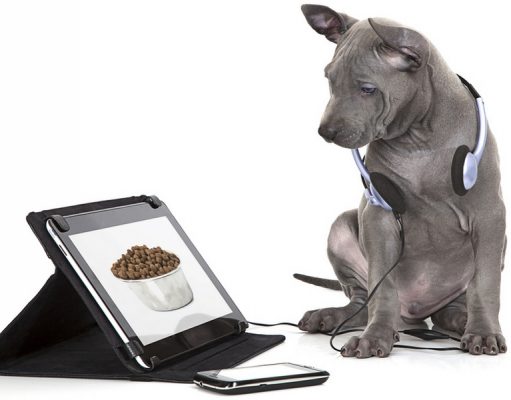 Dog Food Ratings: What You Need to Know About Dog Food Reviews Websites Dog Food Ratings