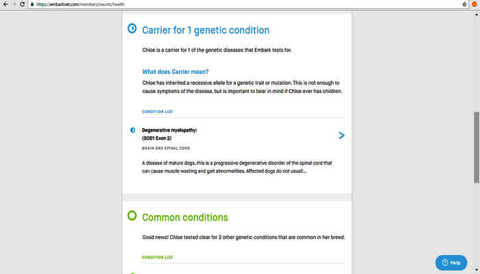 Embark Dog DNA Test Review — Here's How It Works and What You'll Learn