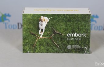 Review: Embark Dog DNA Test Kit Embark Dog DNA Test Kit Review