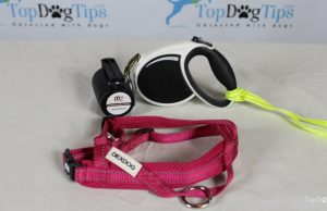 Giveaway: MIU PET Retractable Dog Leash and Dex Dog Harness ($33+ Value) MIU PET and Dex Dog Giveaway
