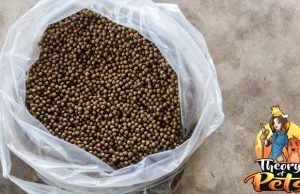 TOP #3: Safety of Commercial Dog Food Brands Safety of Commercial Dog Food