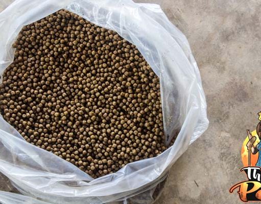 TOP #3: Safety of Commercial Dog Food Brands Safety of Commercial Dog Food