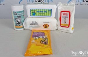 The Best Dog Grooming Wipes The Best Dog Grooming Wipes