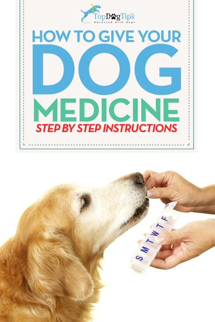 Tips on How To Give A Dog Medicine