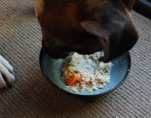 Recipe: Turkey and Vegetable Homemade Dog Food Homemade Dog Food for Heart Disease